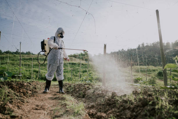 Best Pest Prevention Services  in Wausau, WI