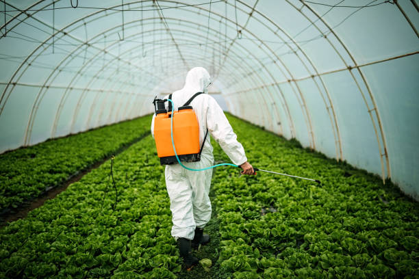 Best Local Pest Control Services  in Wausau, WI