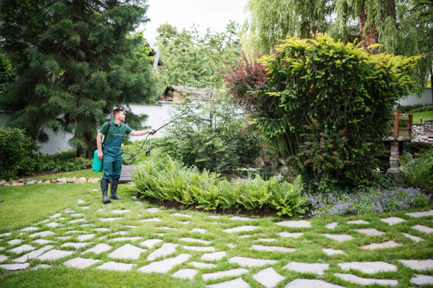 Best Ant Control Services  in Wausau, WI