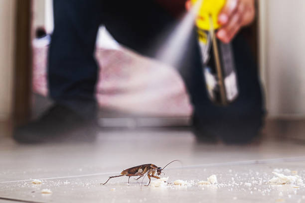 Best Pest Control for Restaurants  in Wausau, WI