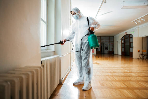 Best Termite Control Services  in Wausau, WI