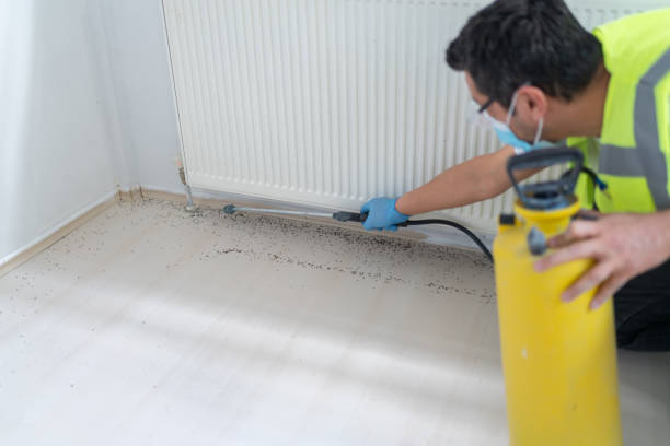 Best Wasp Removal Services  in Wausau, WI