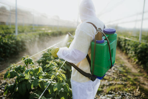 Pest Control for Restaurants in Wausau, WI
